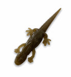 5.30" Salamander