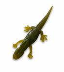 5.30" Salamander