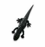 5.30" Salamander