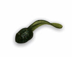 The Little Tadpole (2.5")